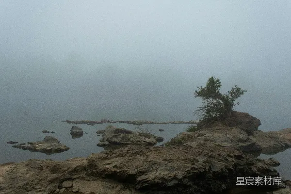 高清摄影 湖中一块岩石上的一棵孤树