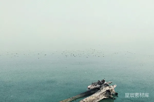 高清摄影 白天水体上棕色木制码头