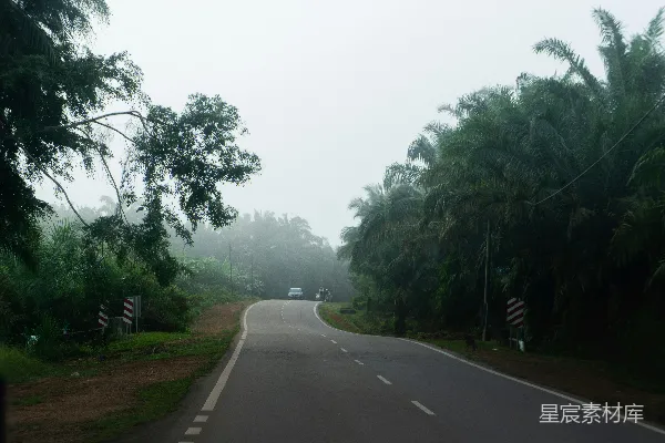 高清摄影 路边有树的道路