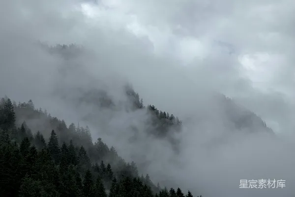 高清摄影 云雾缭绕的山和树在阴天中的景象