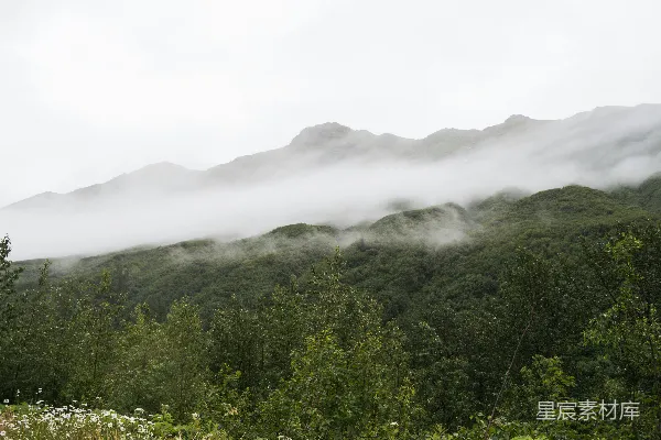 高清摄影 山峦间低垂的云雾景象