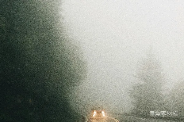 高清摄影 汽车靠近路边的树。