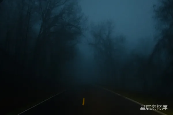 高清摄影 路旁夜间枯树的黑色剪影