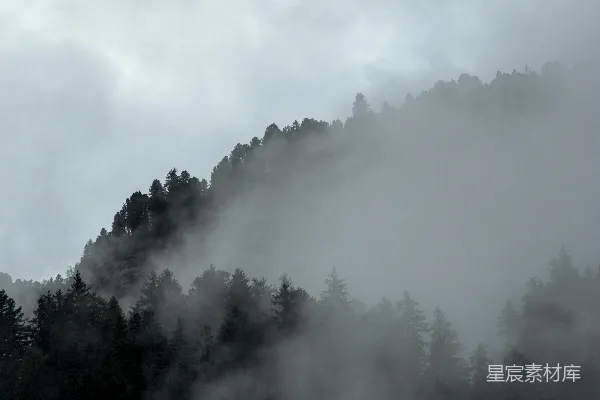 高清摄影 一座被雾笼罩的山峰，前景中有树木。