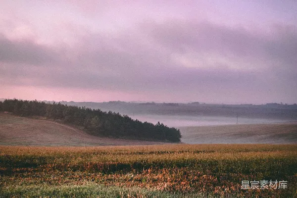高清摄影 白天绿草 fields under cloudy sky