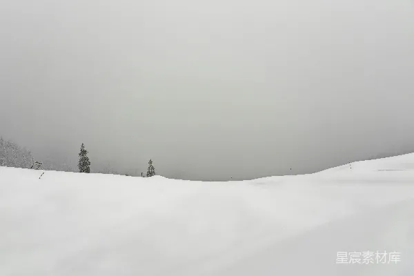 高清摄影 滑雪者在雪地上的画面