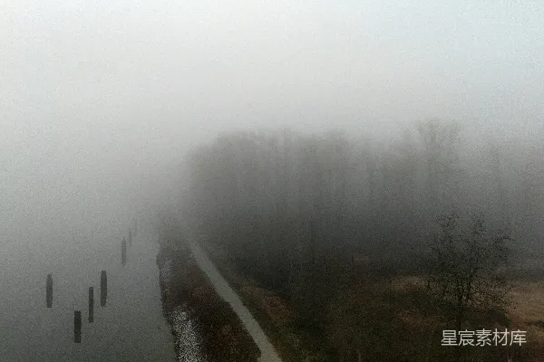 高清摄影 一片朦胧的景色中有树木和一条道路。