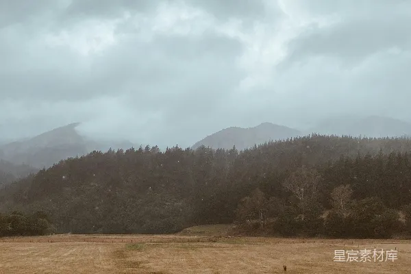 高清摄影 白天绿色的树木映衬在棕色的草地上，白云在头顶之上。