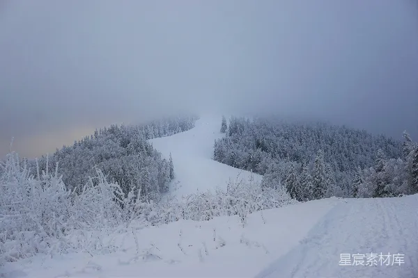 高清摄影 覆盖着积雪的土地