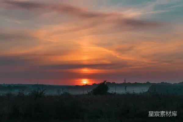 高清摄影 夕阳下的绿草 fields