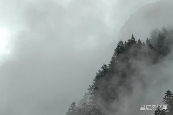 高清摄影 山峦被雾气覆盖，前景有树木。