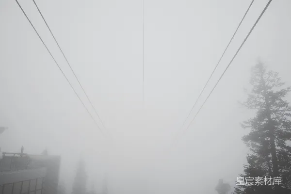 高清摄影 白日绿树下的蓝天