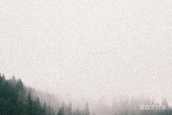 高清摄影 一棵树的森林