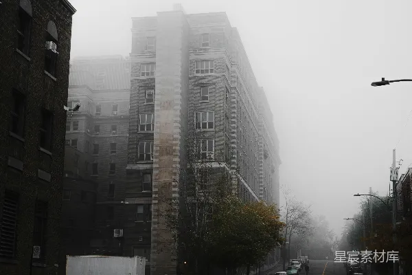 高清摄影 一条有汽车和建筑夹杂在两边的街道