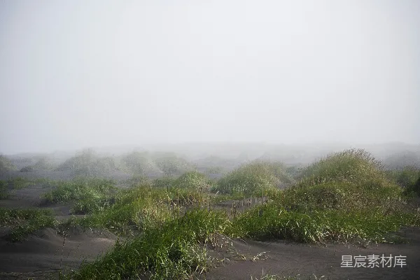 高清摄影 前景中有一片雾气笼罩的草地和灌木。