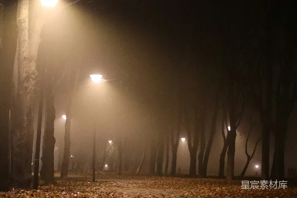 高清摄影 公园里的一夜浓雾，有街灯照明