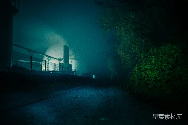 高清摄影 夜晚绿色树木近旁有棕色木制码头的地方