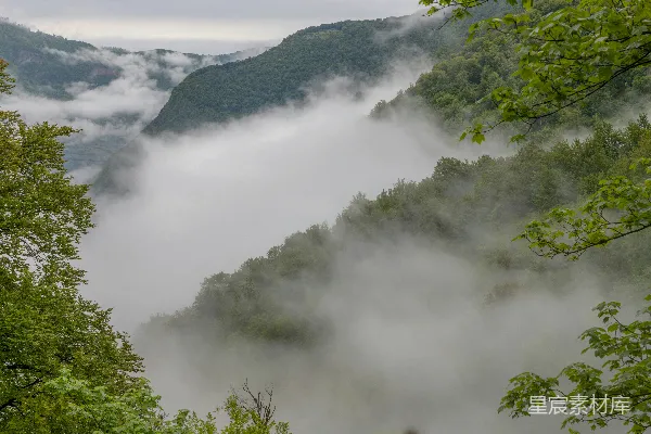 高清摄影 山谷里有树木和山峦在背景中，雾气缭绕。