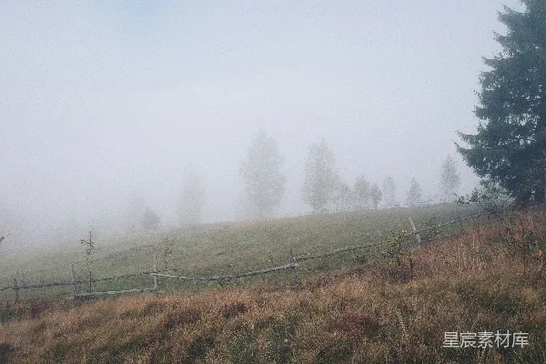 高清摄影 绿色草地与棕色木栅栏的田野