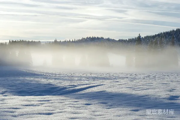 高清摄影 背景中有树木的雪覆盖着的田野