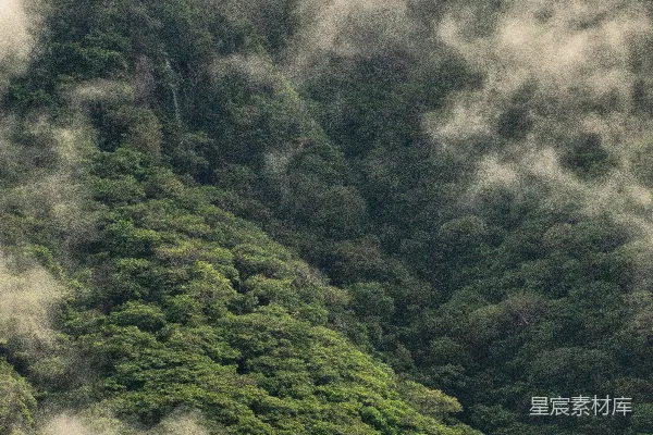 高清摄影 山林覆盖率