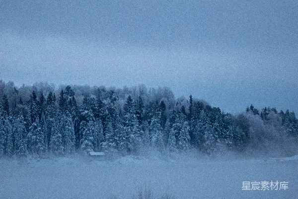 高清摄影 覆盖着白雪的森林的鸟瞰摄影