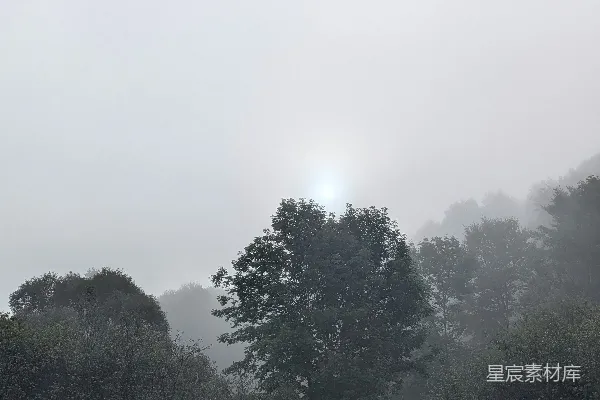 高清摄影 林中雾气缭绕，太阳光环可见