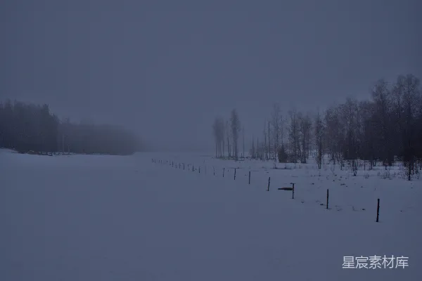 高清摄影 覆盖着白雪的田野，远处是树木。