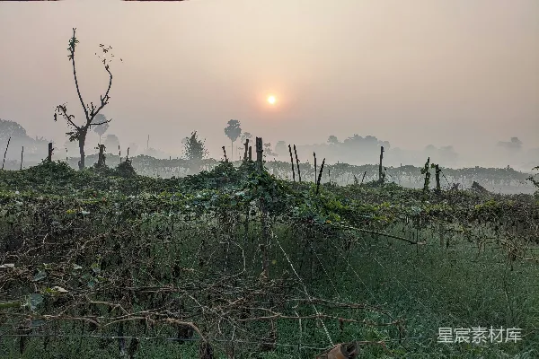 高清摄影 夕阳西下在一片草地上方