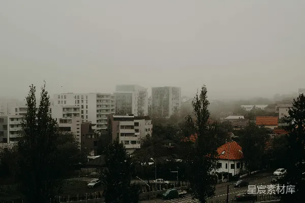 高清摄影 背景中有树的房子