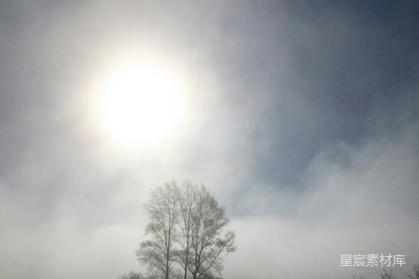 高清摄影 背景中有树和太阳的田地