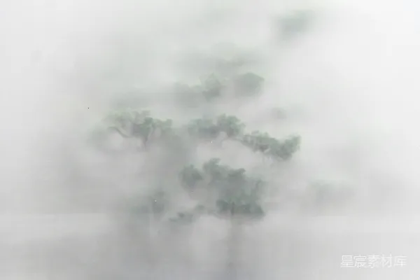 高清摄影 雾中树木从薄雾中探出头来，映衬在平静的水面上。