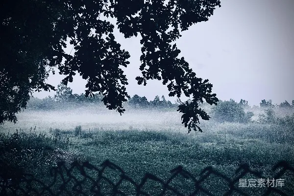 高清摄影 有围栏的田地，背景是树木。