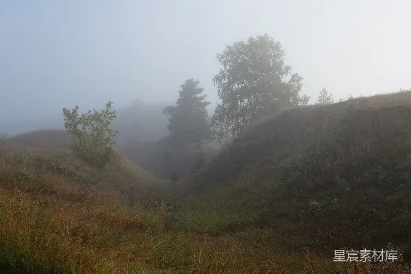 高清摄影 绿 hills