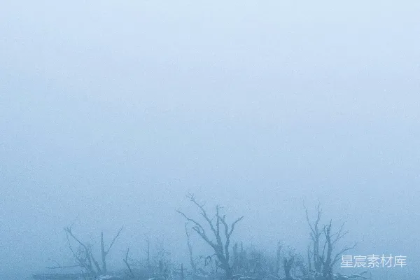 高清摄影 被树木环绕的雾中的一片水域