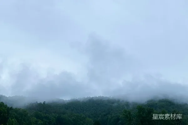 高清摄影 云雾缭绕的山林中的一个阴天景色