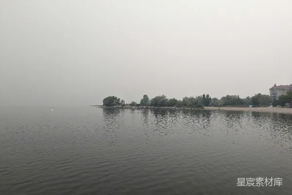 高清摄影 背景中有许多树木的大片水域