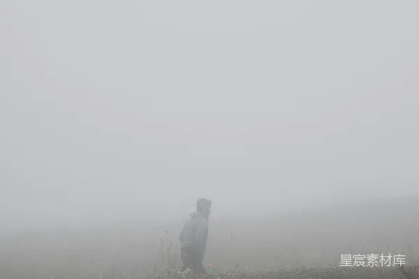 高清摄影 穿着绿色夹克的人在雾天绿草覆盖的田野上站立。