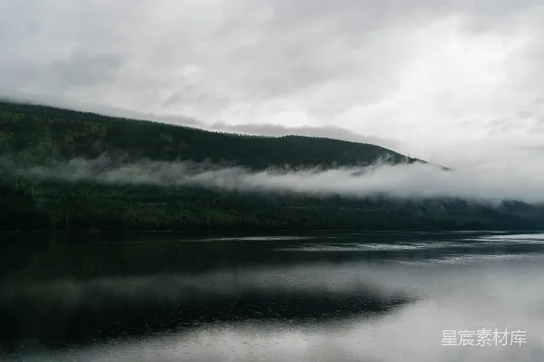 高清摄影 围绕着森林的一片水域