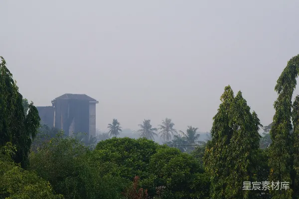 高清摄影 远处的树木和一座建筑的景象
