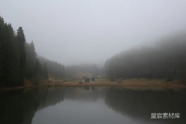 高清摄影 被树木和雾环绕的一片水域