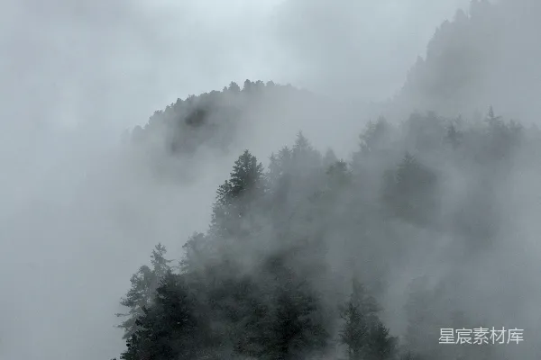 高清摄影 一座被薄雾覆盖的山， foreground 中的树木清晰可见。