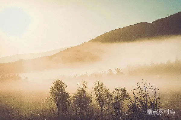 高清摄影 背景中有树木和山的迷雾中的田野
