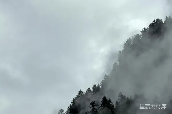 高清摄影 一幅黑白照片中的蒙蒙山雾
