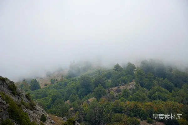 高清摄影 有树和雾的风景