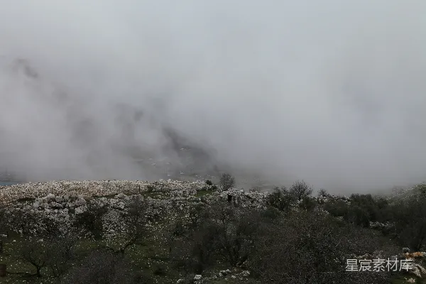 高清摄影 背景中有树和山的迷雾中的景象