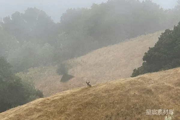 高清摄影 一个人在山上行走