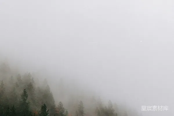 高清摄影 山中雾气缭绕，前景有树木。