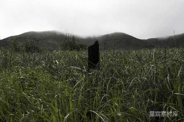 高清摄影 背景是山丘的草地场