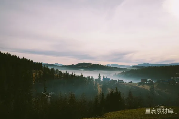 高清摄影 湖边绿树下晴天云遮日影